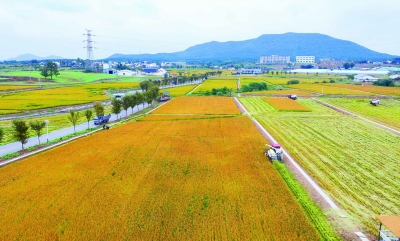 温氏股份斩获ESGAApi评级以绿色实践引领养殖行业高质量发展(图1)